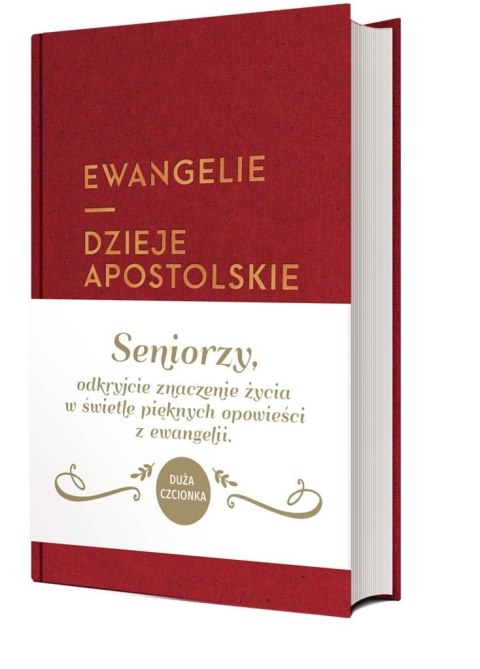 Ewangelie i Dzieje Apostolskie DL Ewangelie i Dzieje Apostolskie DL