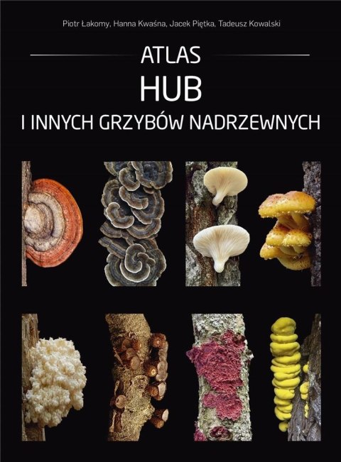 Atlas hub i innych grzybów nadrzewnych Atlas hub i innych grzybów nadrzewnych