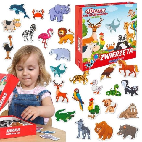 Magnesy zwierzęta Magnesy zwierzęta