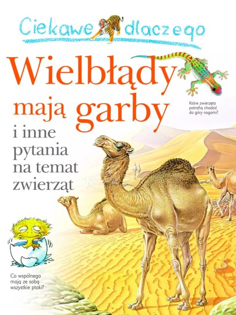 Ciekawe dlaczego wielbłądy mają garby Ciekawe dlaczego wielbłądy mają garby