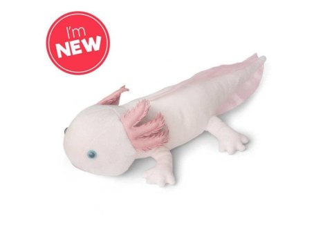 Pluszowy Axolotl Pluszowy Axolotl