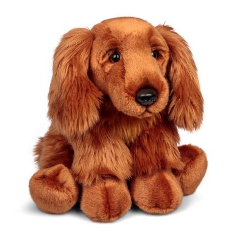 Pluszowy Cocker Spaniel Pluszowy Cocker Spaniel