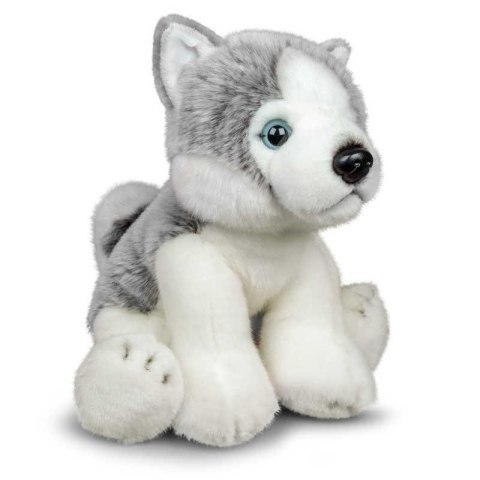 Pluszowy Husky Pluszowy Husky