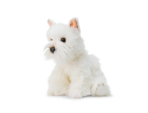 Pluszowy Westie Pluszowy Westie