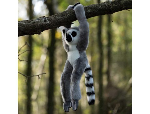 Pluszowy lemur na rzepy Pluszowy lemur na rzepy