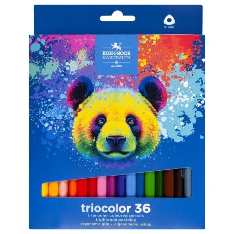 Kredki Triocolor Niedźwiedź 36 kolorów Kredki Triocolor Niedźwiedź 36 kolorów