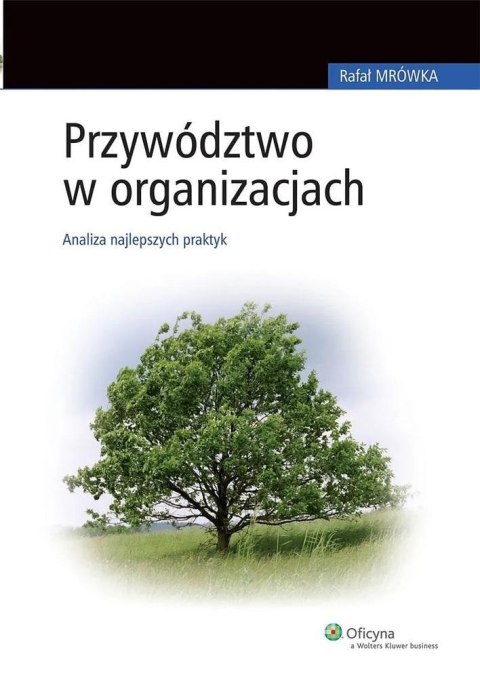 Przywództwo w organizacjach Przywództwo w organizacjach