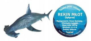 REKIN MŁOT 56 CM DŁUGOŚCI RĘCZNIE MALOWANE