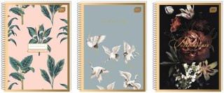 Kołozeszyt A4/50K kratka Satin Gold (10szt)