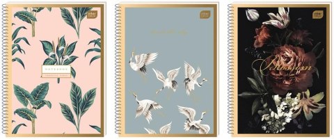Kołozeszyt A4/50K kratka Satin Gold (10szt) Kołozeszyt A4/50K kratka Satin Gold (10szt)