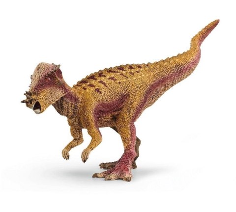 Pachycephalosaurus Pachycephalosaurus