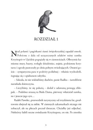 Wakacje z Koszmarkiem. Tom 3. Tunel w zaświaty