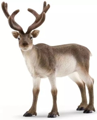 Wild Life. SLH14837. Renifer