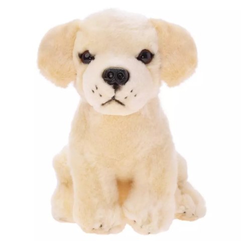 Labrador siedzący 20 cm 13475 Labrador siedzący 20 cm 13475