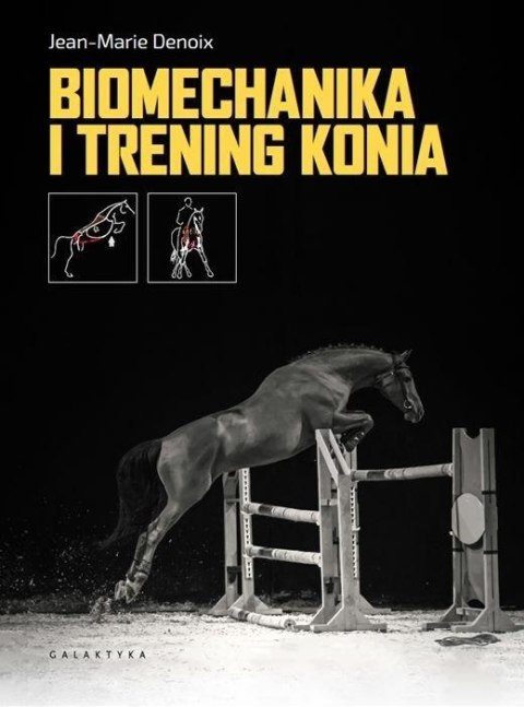 Biomechanika i trening konia Biomechanika i trening konia