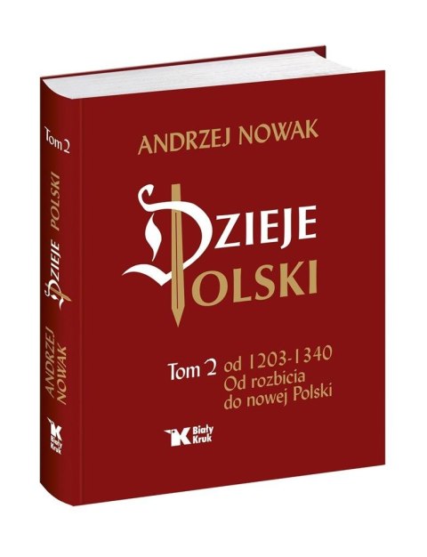 Dzieje Polski. Tom 2. Od rozbicia do nowej Polski Dzieje Polski. Tom 2. Od rozbicia do nowej Polski