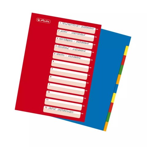 Przekładki A4 (10 sztuk) Przekładki A4 (10 sztuk)