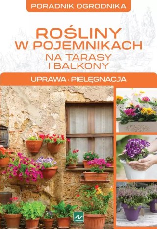 Rośliny w pojemnikach na tarasy i balkony