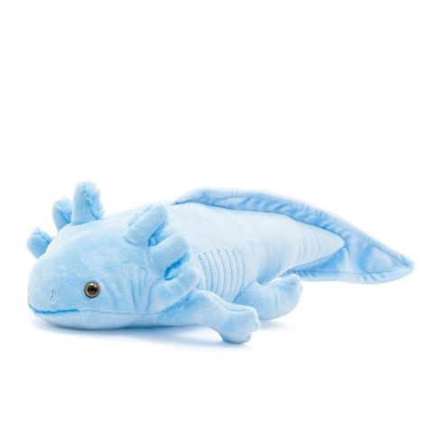 Pluszowy Axolotl 45cm niebieski Pluszowy Axolotl 45cm niebieski