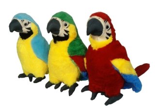 Papuga MIX