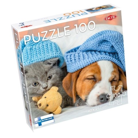 Puzzle 100 Cute Kitten and Sleepy Dog Puzzle 100 Cute Kitten and Sleepy Dog