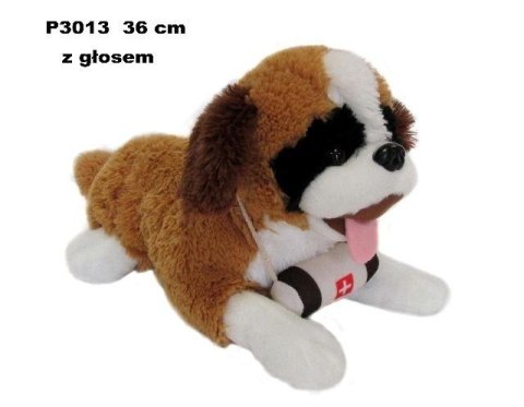 Bernardyn z głosem 36cm Bernardyn z głosem 36cm