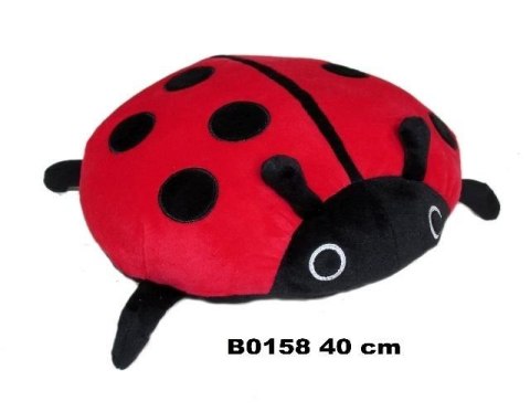 Biedronka 40cm Biedronka 40cm