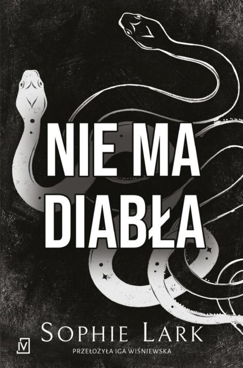 Grzesznicy T.2 Nie ma diabła Grzesznicy T.2 Nie ma diabła