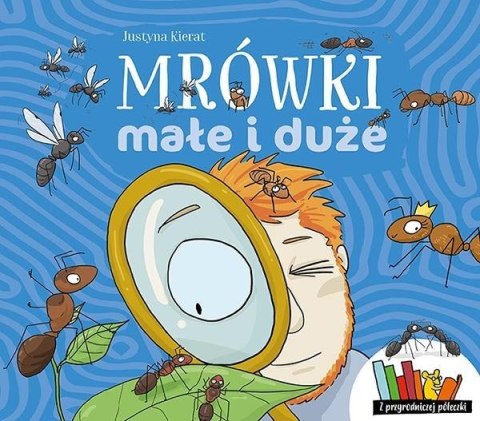 Mrówki małe i duże Mrówki małe i duże