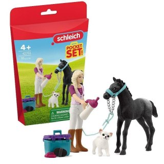Zestaw do pielęgnacji koni ze źrebakiem appaloosa