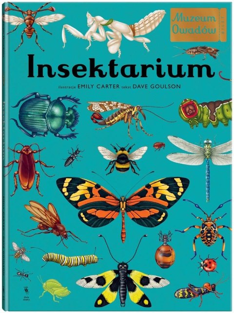 W Muzeum. Insektarium. Muzeum Owadów W Muzeum. Insektarium. Muzeum Owadów