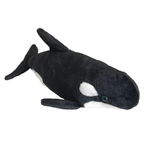Orka oceaniczna 41cm Orka oceaniczna 41cm