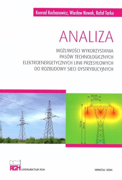 Analiza możliwości wykorzystania pasów technolog. Analiza możliwości wykorzystania pasów technolog.
