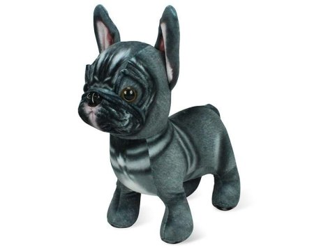 Pluszak Buldog Pluszak Buldog