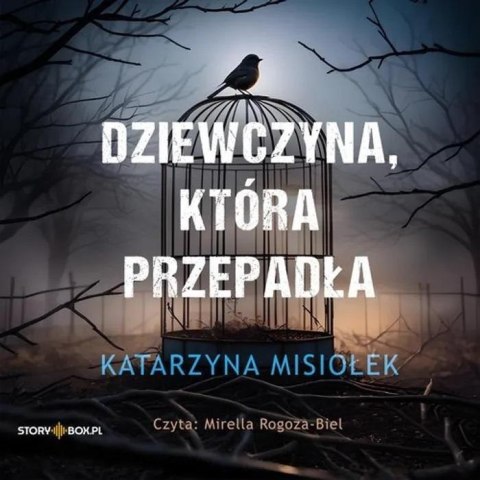 Dziewczyna, która przepadła audiobook Dziewczyna, która przepadła audiobook