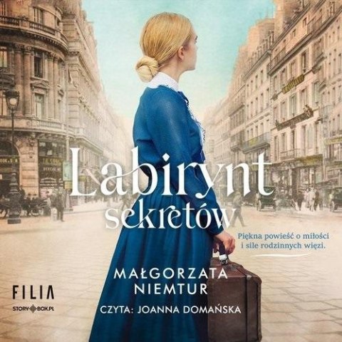 Labirynt sekretów audiobook Labirynt sekretów audiobook