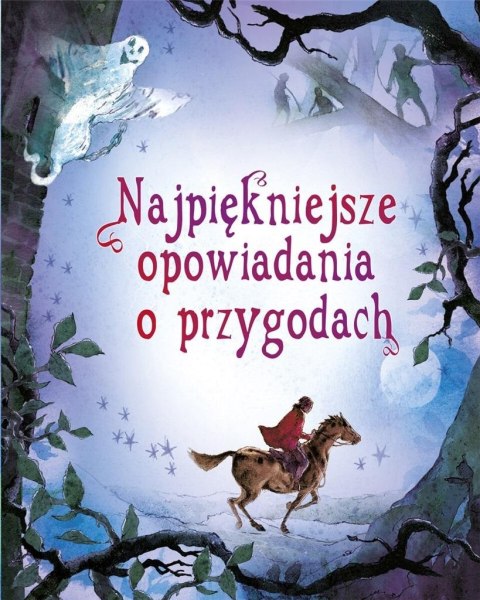 Najpiękniejsze opowiadania o przygodach Najpiękniejsze opowiadania o przygodach