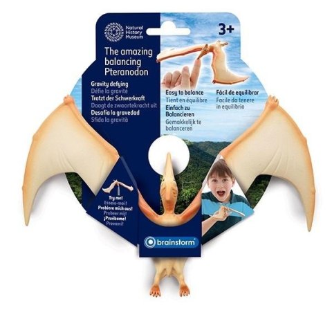 Balansujący pteranodon Balansujący pteranodon