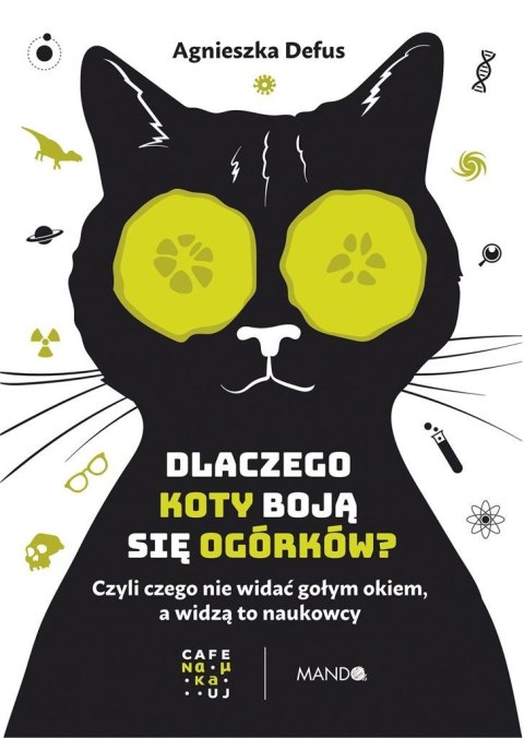 Dlaczego koty boją się ogórków?. Czyli czego nie.. Dlaczego koty boją się ogórków?. Czyli czego nie..