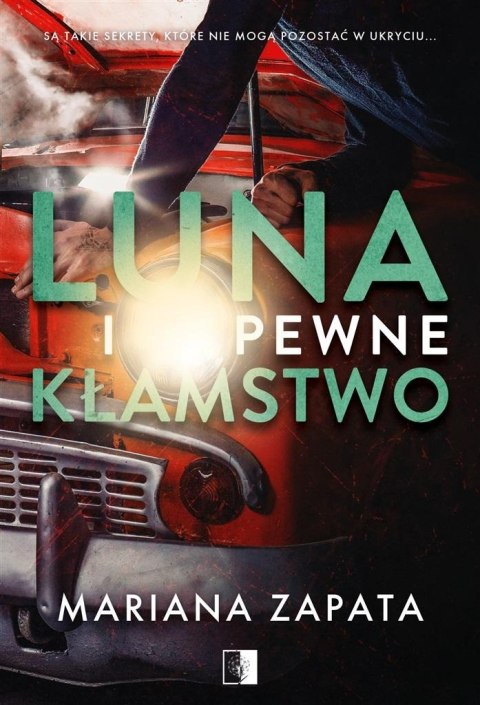 Luna i pewne kłamstwo Luna i pewne kłamstwo