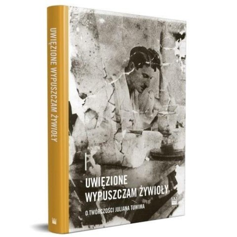 Uwięzione wypuszczam żywioły Uwięzione wypuszczam żywioły