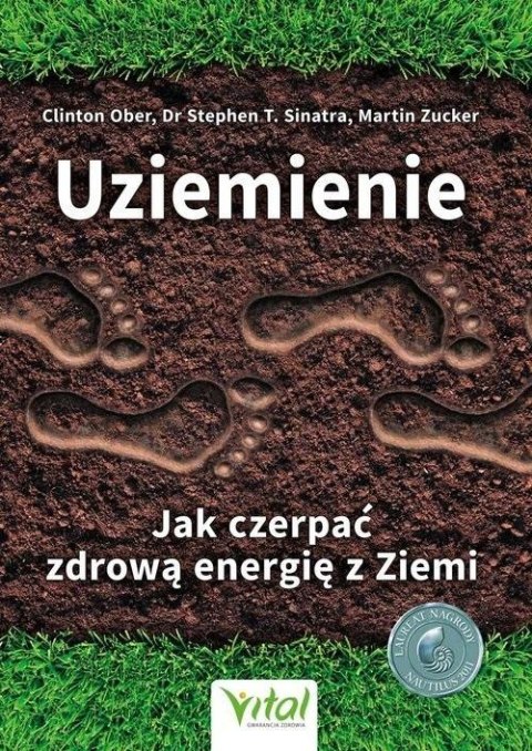 Uziemienie Jak czerpać zdrową energię z ziem Uziemienie Jak czerpać zdrową energię z ziem
