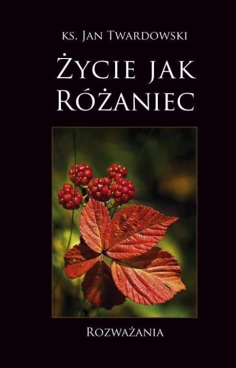 Życie jak Różaniec. Rozważania w.3 Życie jak Różaniec. Rozważania w.3
