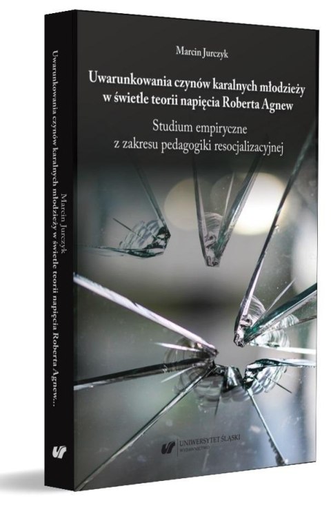 Uwarunkowania czynów karalnych młodzieży... Uwarunkowania czynów karalnych młodzieży...
