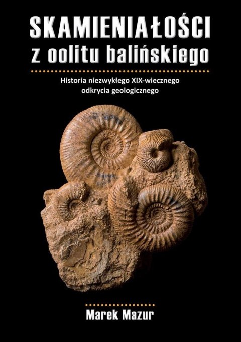 Skamieniałości z oolitu balińskiego Skamieniałości z oolitu balińskiego