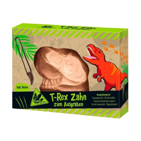 Wykopaliska ząb T-Rexa Wykopaliska ząb T-Rexa