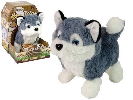 Maskotka interaktywna Husky Maskotka interaktywna Husky