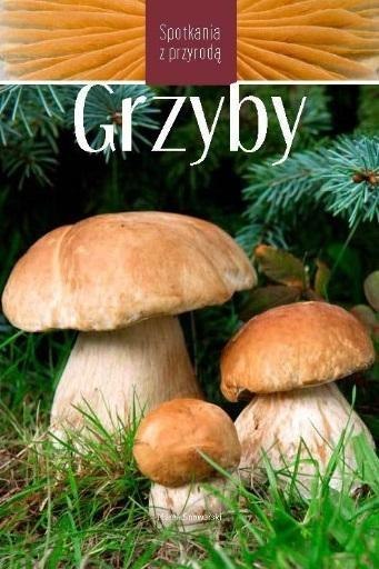 Grzyby. Spotkania z przyrodą Grzyby. Spotkania z przyrodą