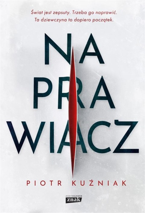Naprawiacz Naprawiacz