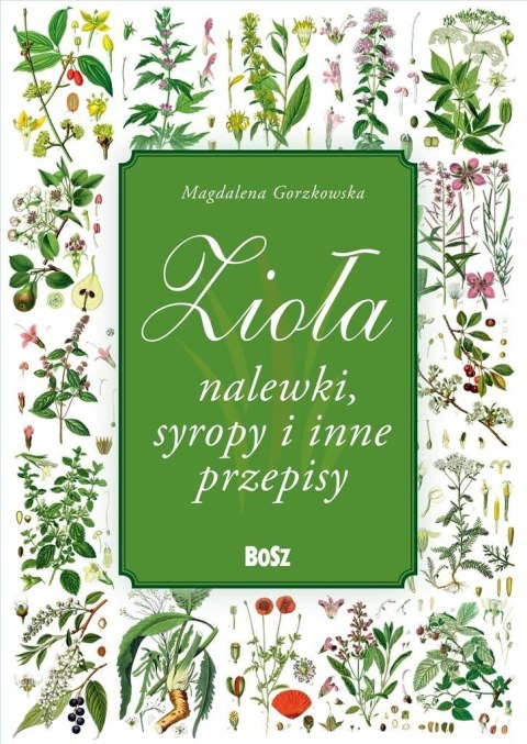 Zioła i nalewki Zioła i nalewki